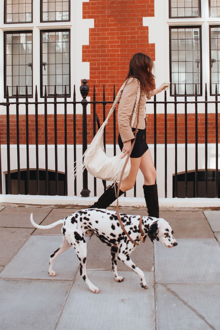 The Real Reason Your Dog Pulls on the Leash (And Why Most Walkers Get It Wrong)