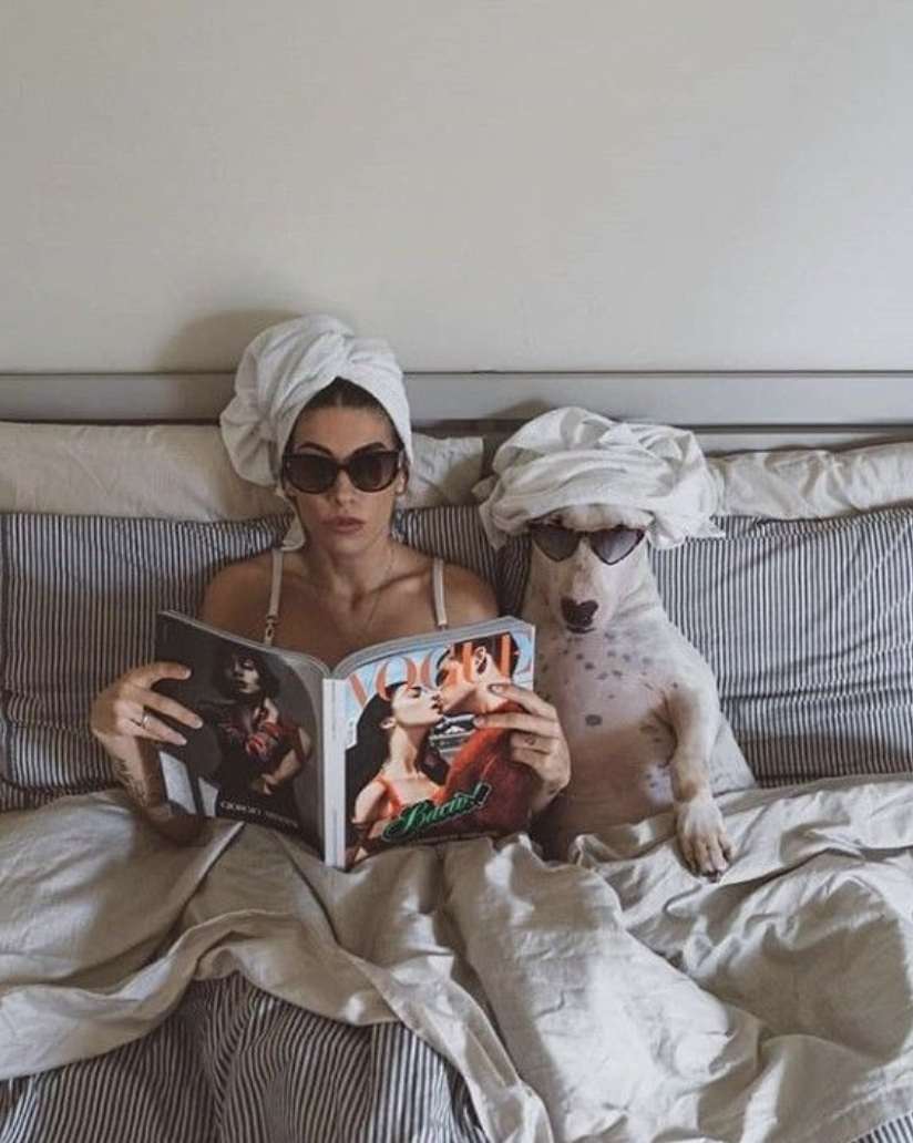 The Luxury of Not Worrying: What Premium Pet Care Actually Buys You