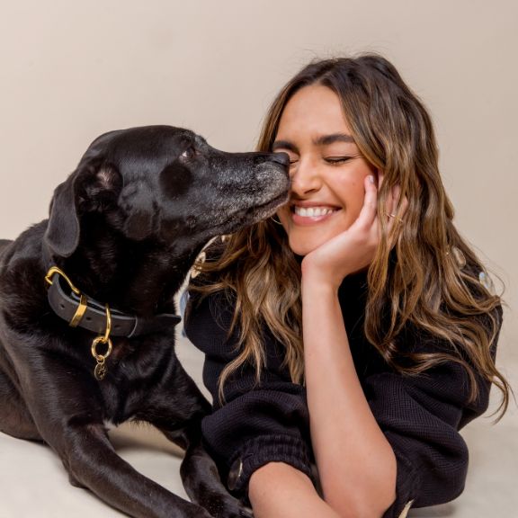 2026 New Year, Same Mission: Putting Your Pets First