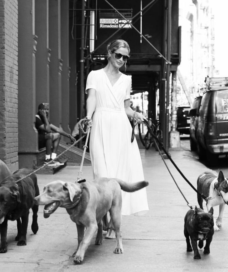 Your Dog Has a Social Life. Are You Curating It Intentionally?