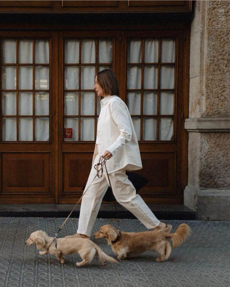 Your Dog's Walk Just Got an Upgrade